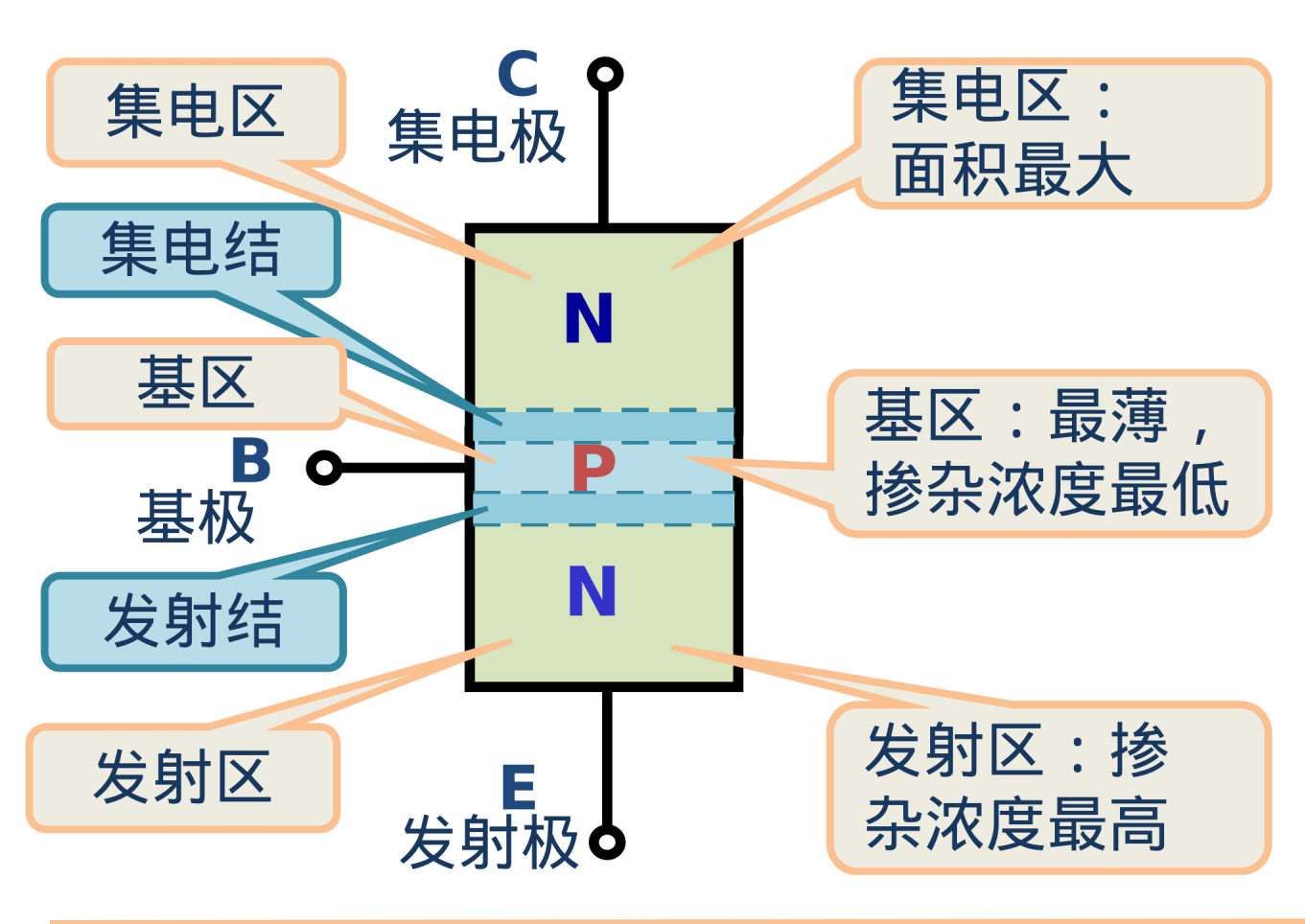 内部结构特点