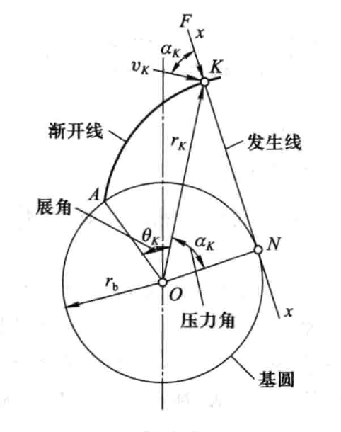渐开线